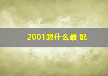 2001跟什么最 配